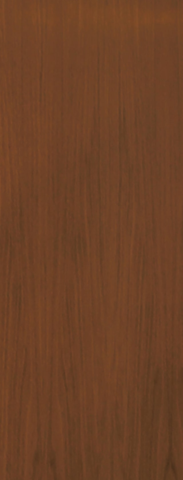 PANEL PUERTA ACORAZADA CARA EXTERIOR RECHAPADO SAPELLY