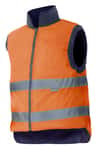 ver variante Color Naranja