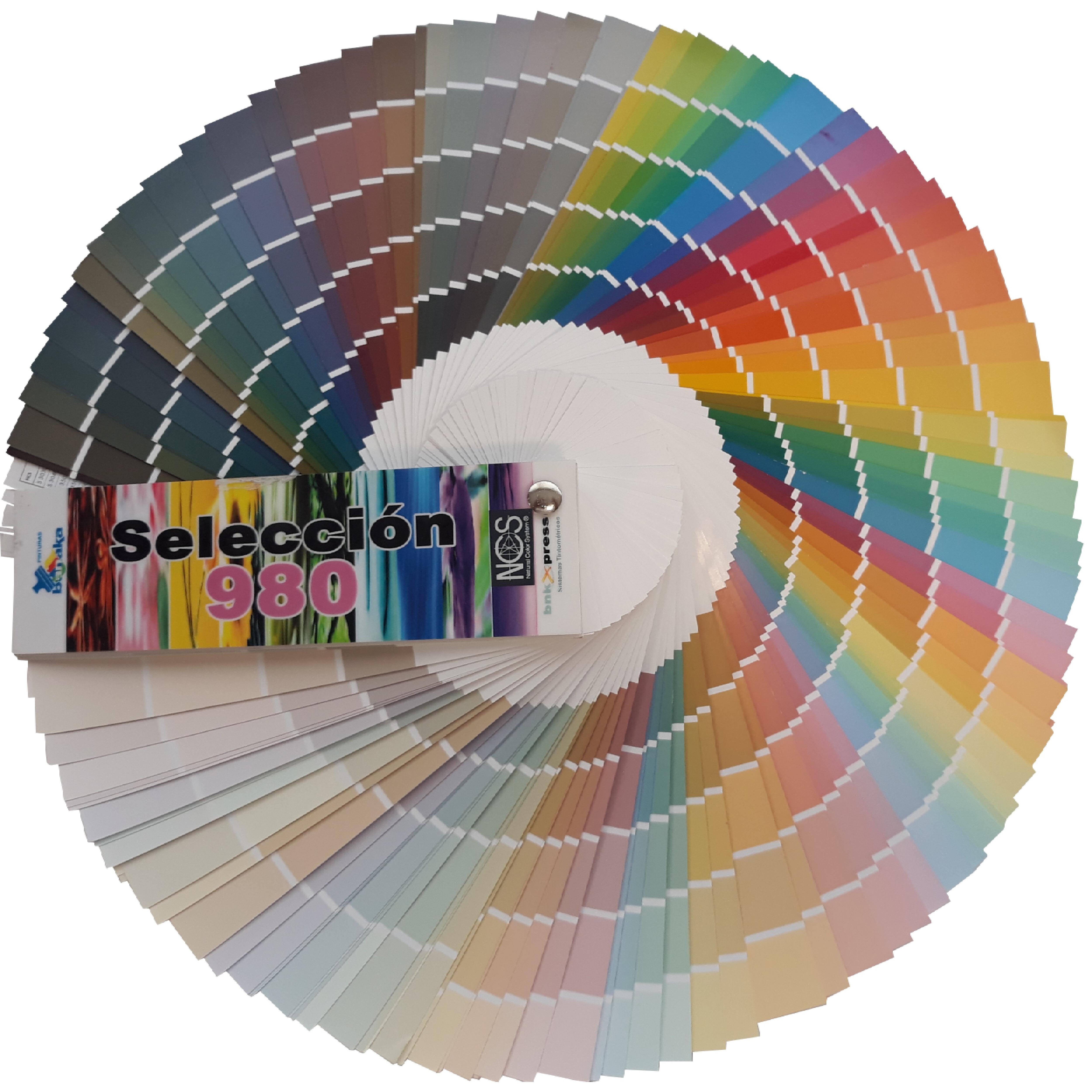 CARTA DE COLORES 980 NCS BANAKA | Obramat