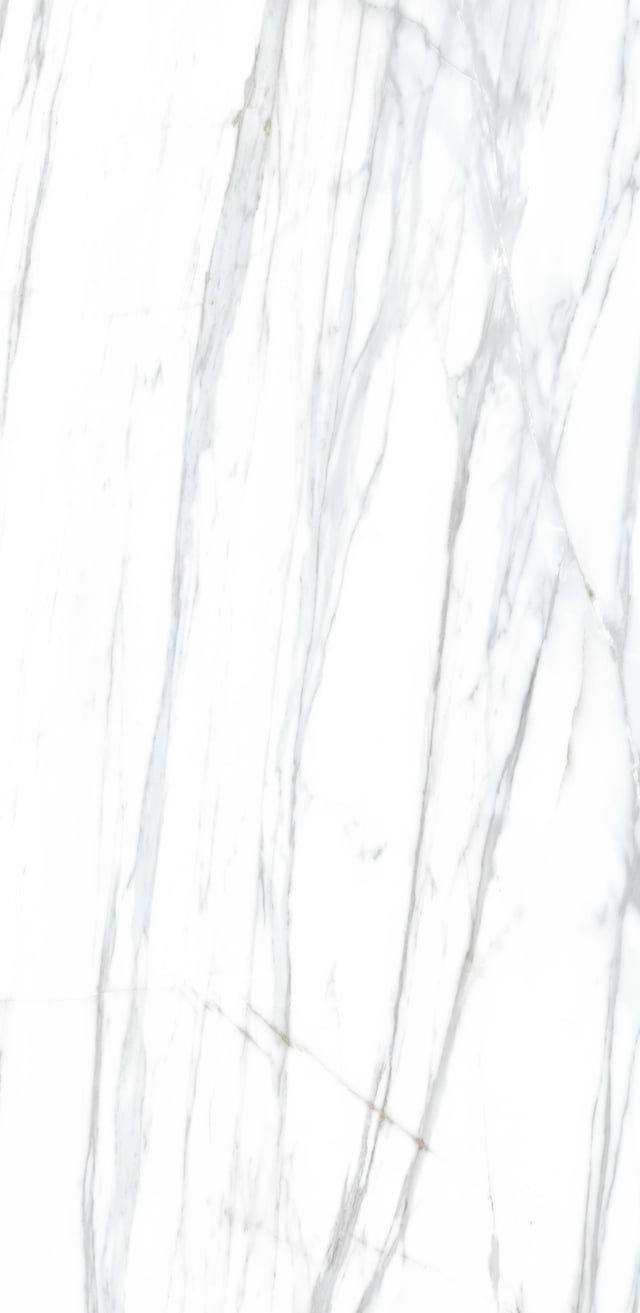PORCELÁNICO XXL 120X260CM VENATO WHITE PULIDO
