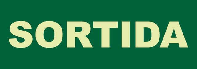 SEÑAL FOTOLUMINISCENTE SALIDA 1UD