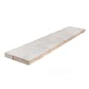 FIOLA CALIZA APOMAZADA 20X100X3 CM - 1