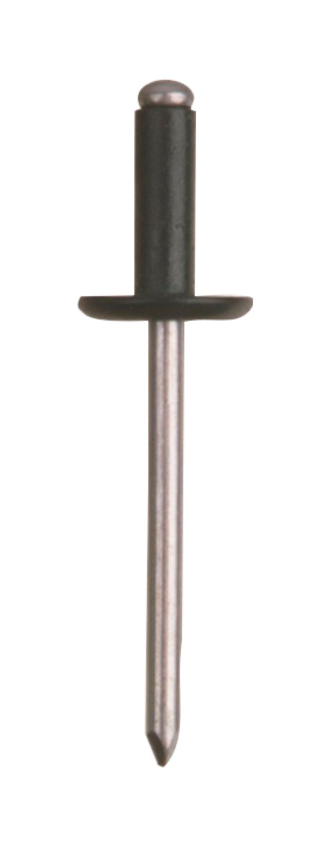 REMACHES CABEZA ANCHA ALUMINIO Y ACERO 4.8 X 12  MM. BRALO. 55 UDS