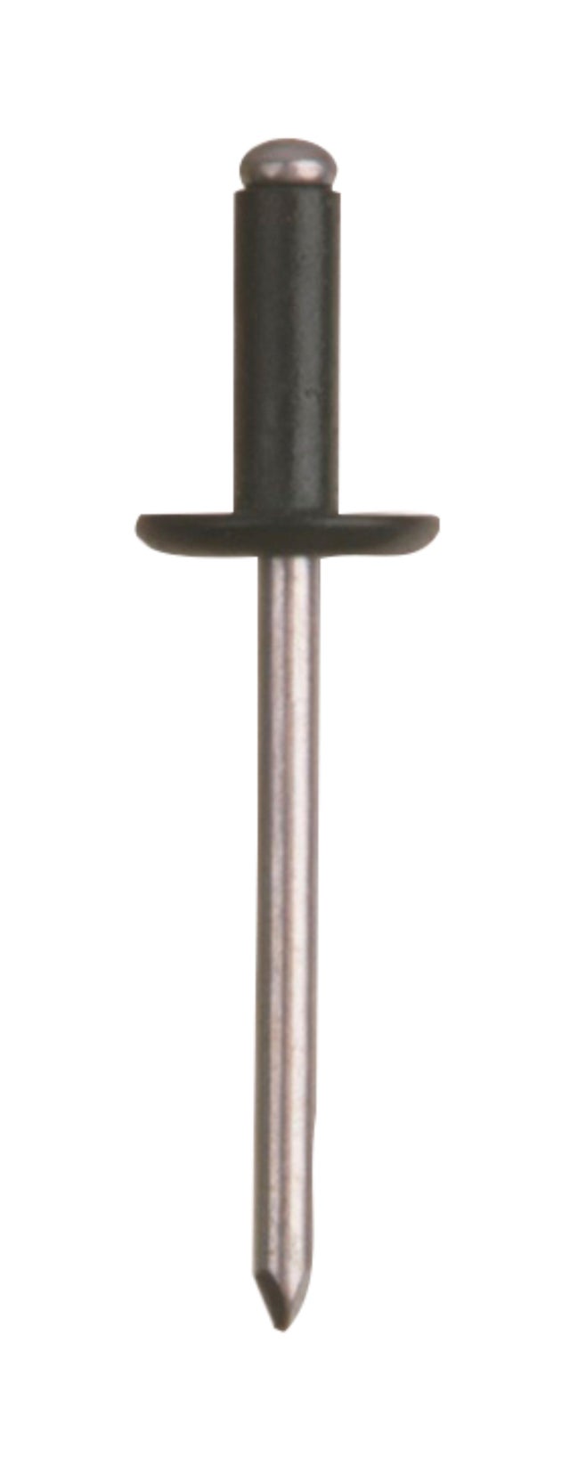REMACHES CABEZA ANCHA ALUMINIO Y ACERO 4.8 X 12  MM. BRALO. 55 UDS