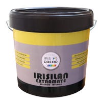 PINTURA PLASTICA BLANCA MATE 14L IRISLAN - 1