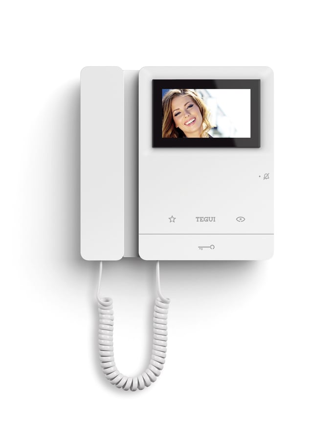 MONITOR ADICIONAL PANTALLA 4.3