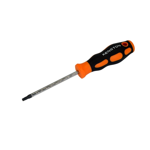 DESTORNILLADOR TORX  T25  X100 MM 