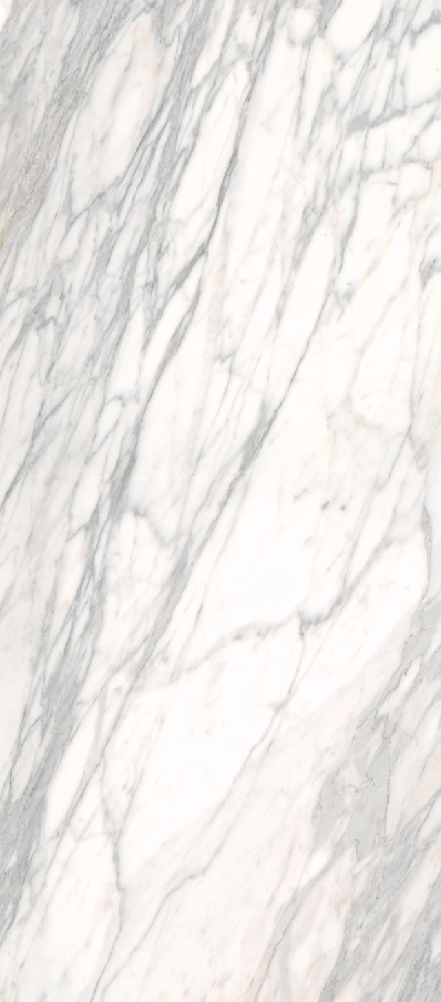 REVESTIMIENTO SPC VENATO  260X123X0.4CM