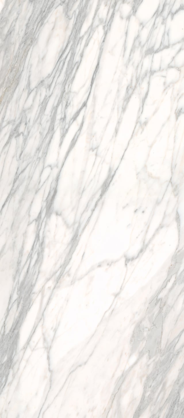 REVESTIMIENTO SPC VENATO  260X123X0.4CM
