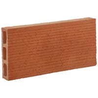 LADRILLO HUECO SENCILLO 24X12X2 CM - 1