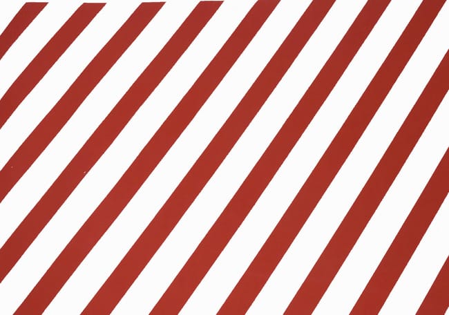 PROTECTOR DE ESPUMA IGNIFUGO PARA VEHICULOS EN GARAJES ROJO Y BLANCO - 1