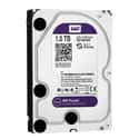 DISCO DURO 1 TB WD20PURX PARA GRABADOR - 1