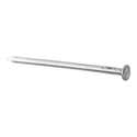 PUNTA CABEZA PLANA 3 X 60MM. 3 KG - 1