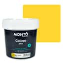 PINTURA PLASTICA LIMON MATE 2,5L COLOSO - 1