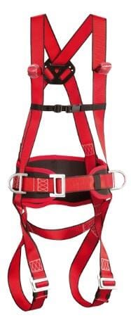 ARNES 2 PUNTOS+CINTURON POSICIONAMIENTO - 1