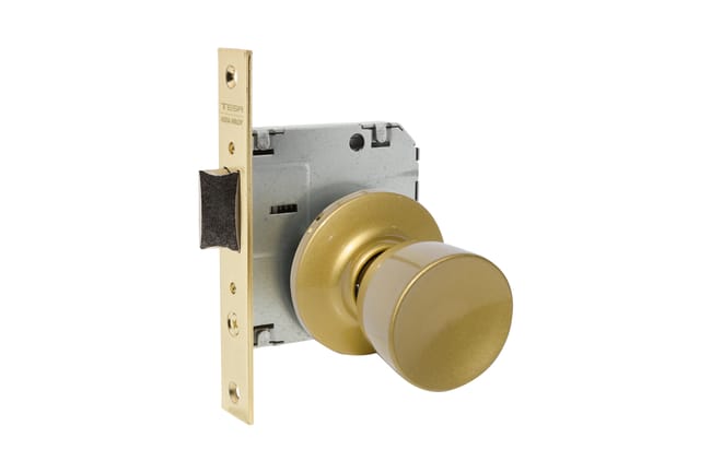 POMO PUERTA ENTRADA TULIPA 3520 LATON MATE- TESA - 1