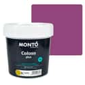 PINTURA PLASTICA MAGENTA MATE 2,5L COLOSO - 1