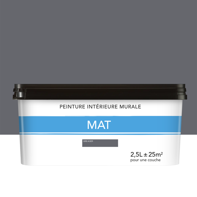 Peinture mur gris acier mat 2.5L
