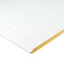 PANEL FACHADA SANDWICH BLANCO 4 CM 3X1M - 4