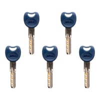 CILINDRO SEGURIDAD  ANTIROTURA Y ANTIBUMPING 35 X 45  MM.  NIQUEL 10000 AMIG - 5