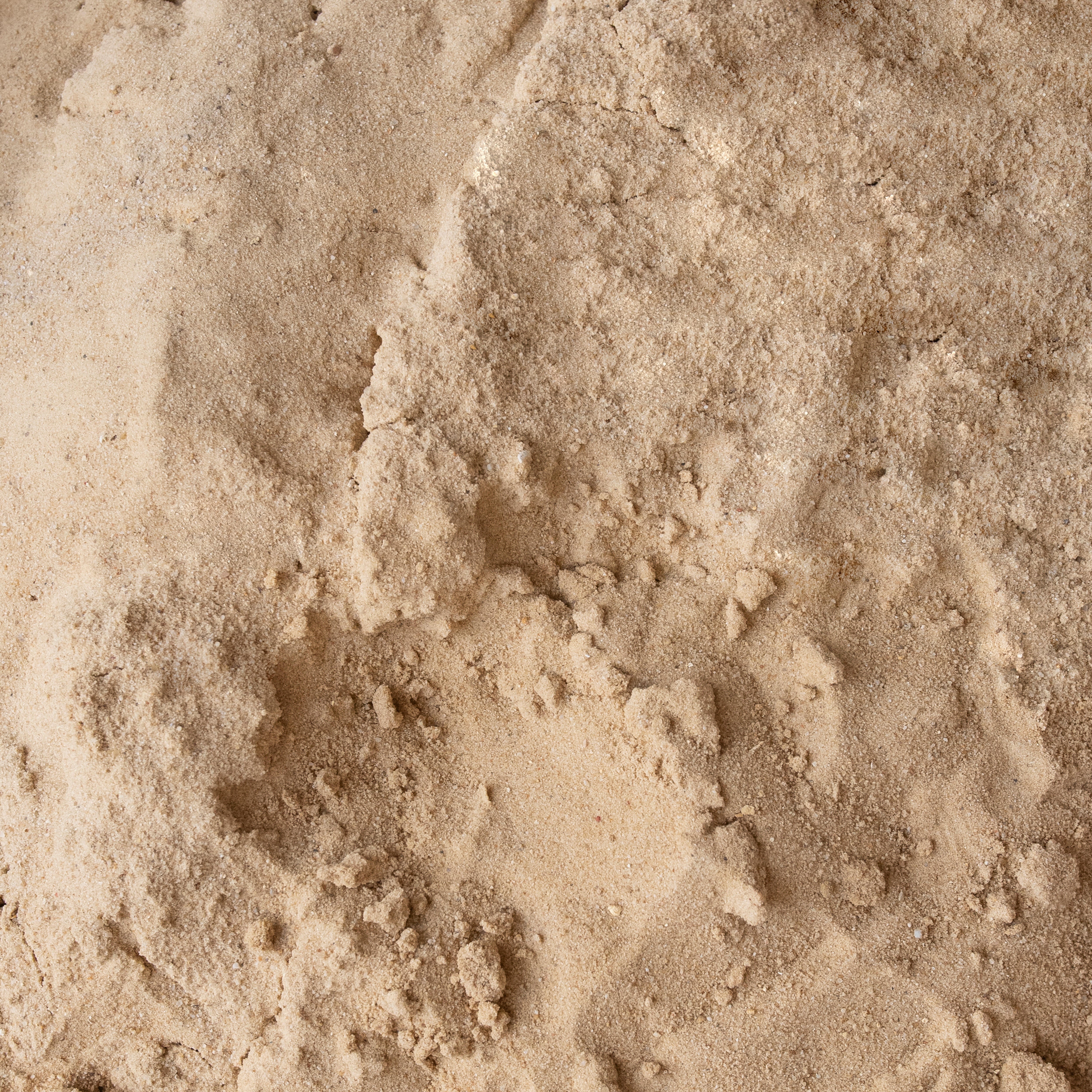 BIG BAG ARENA EXTRA FINA RUBIA 1000 KG - 2