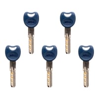 CILINDRO SEGURIDAD ANTIROTURA Y ANTIBUMPING 31 X 31  MM.  NIQUEL 10000 AMIG - 5