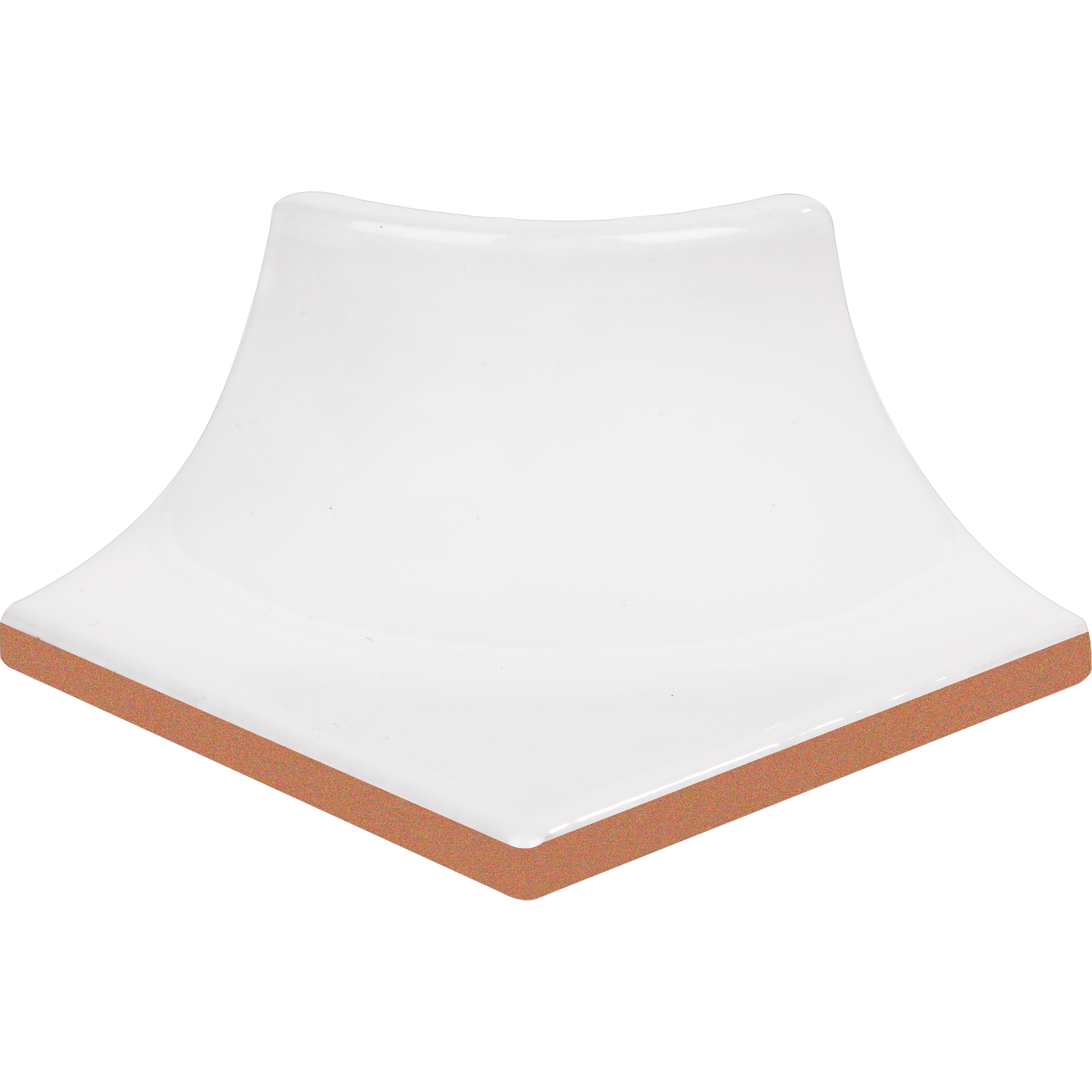 PATA DE ELEFANTE - 2