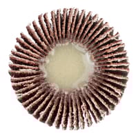 ABANICO LAMINADO Ø40 EJE 6 MM GRANO 80 - 4