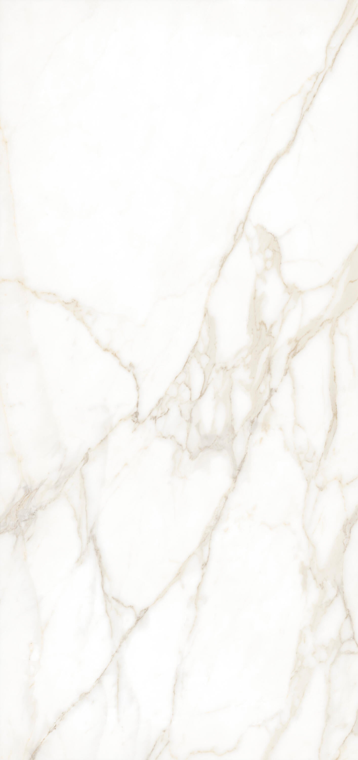 PORCELÁNICO XXL 120X260CM CALACATTA GOLD - 3