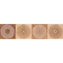 CENEFA CERÁMICA 7X30CM 7324 BEIGE. PACK 3 UNIDADES - 3