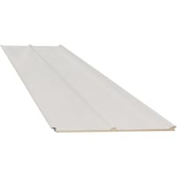 PANEL SÁNDWICH 3 GRECAS BLANCO/BLANCO 3 CM 6X1 M - 2