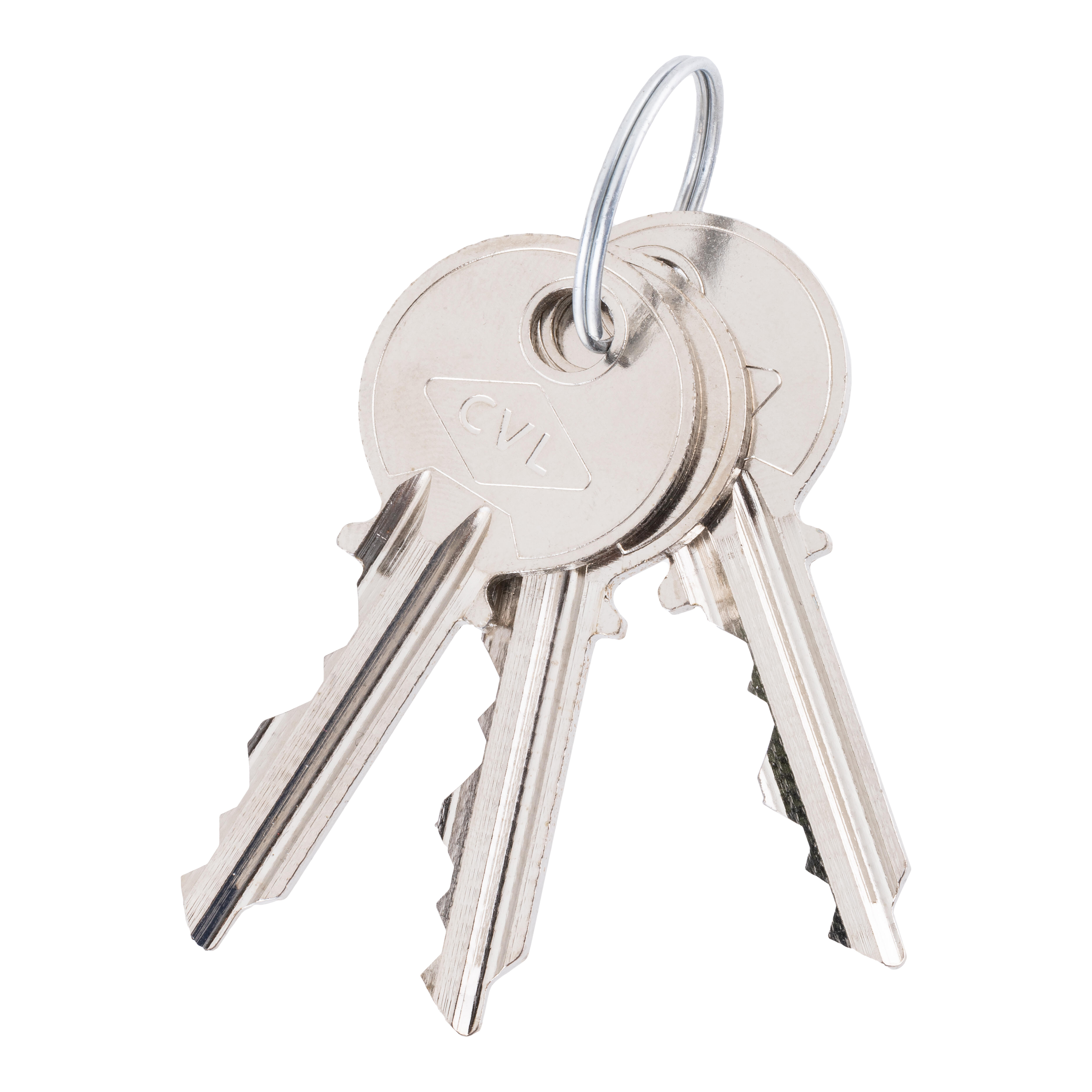 CILINDRO BOMBIN OVALADO 25 X 25  MM. SERRETA NIQUEL 5964 CVL - 2