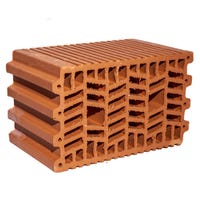 LADRILLO TERMOCERÁMICO 30X19X19CM - 2