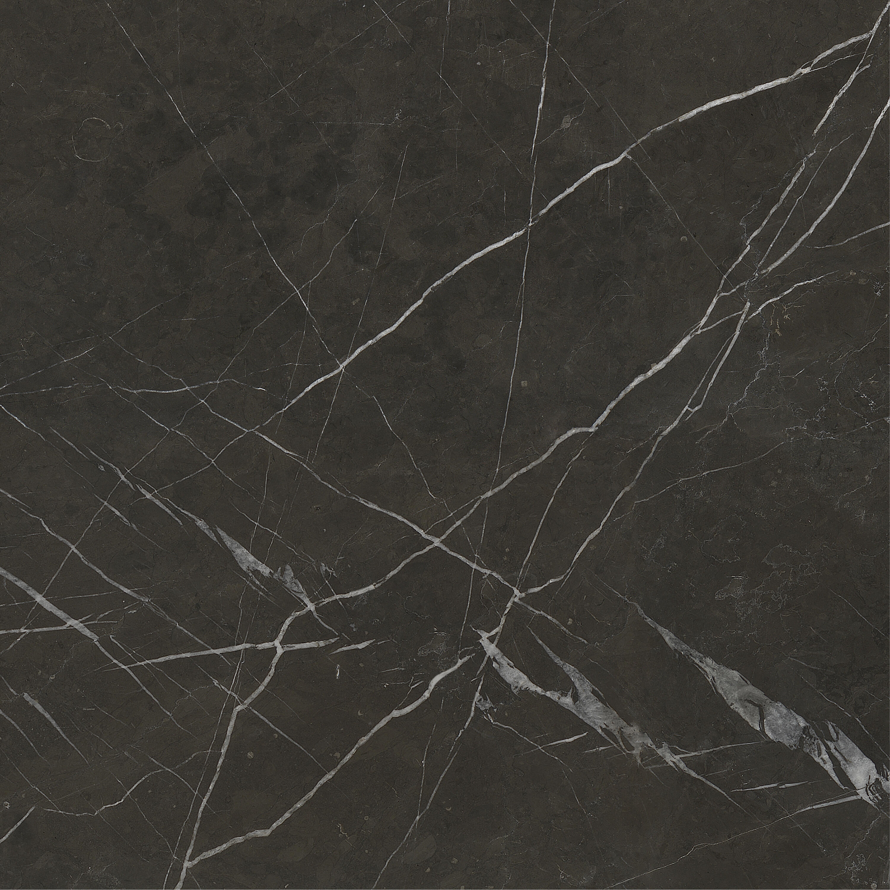 SUELO PORCELÁNICO 60X60 CM IMPALA BRILLO - 3