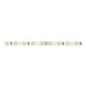 TIRA LED 24V 5M 4,8W/M LUZ NEUTRA  IP65  - 2