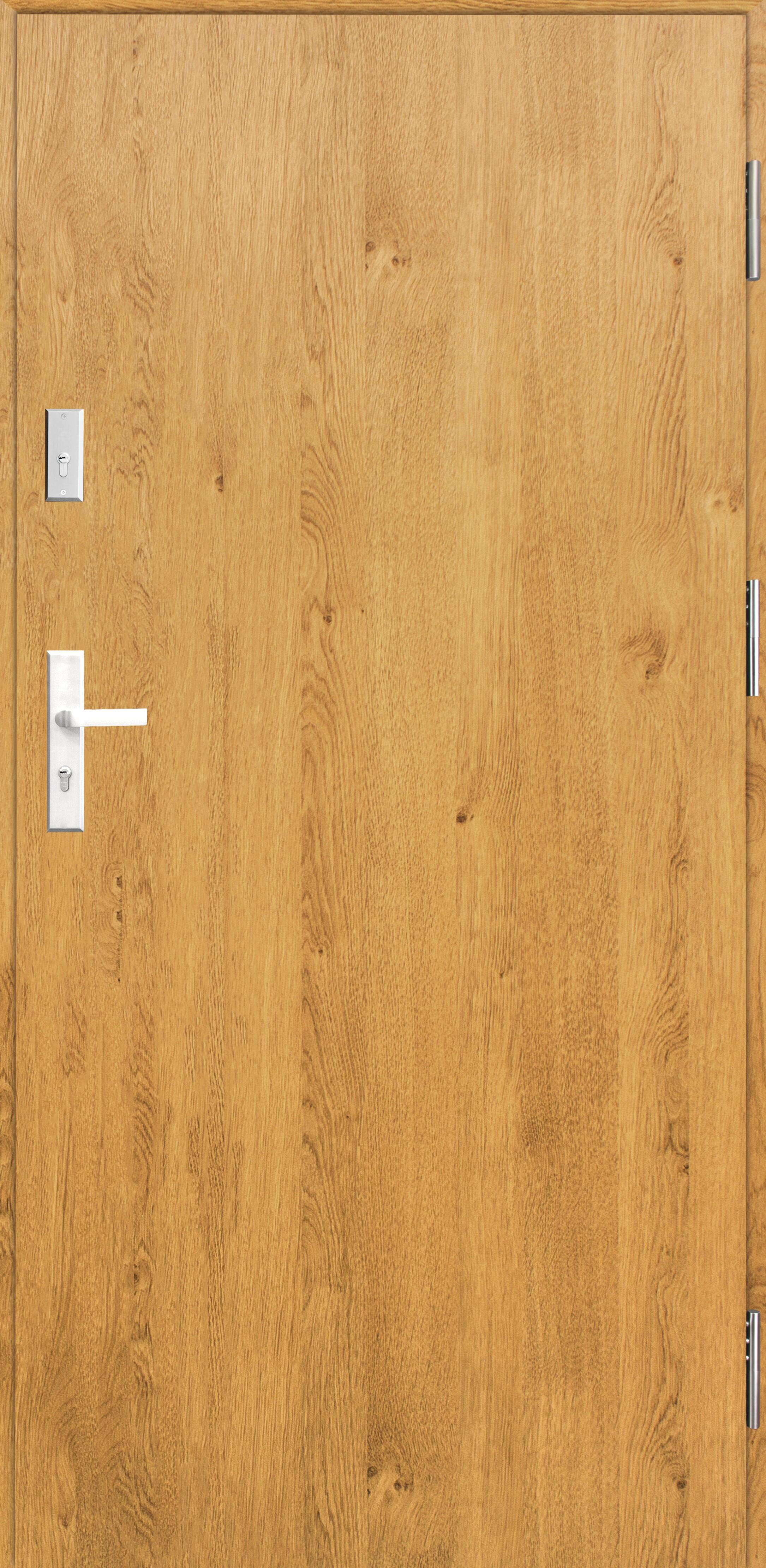 Фото - Вхідні двері Drzwi stalowe zewnętrzne wejściowe Tiera Ultra Winchester 90 prawe