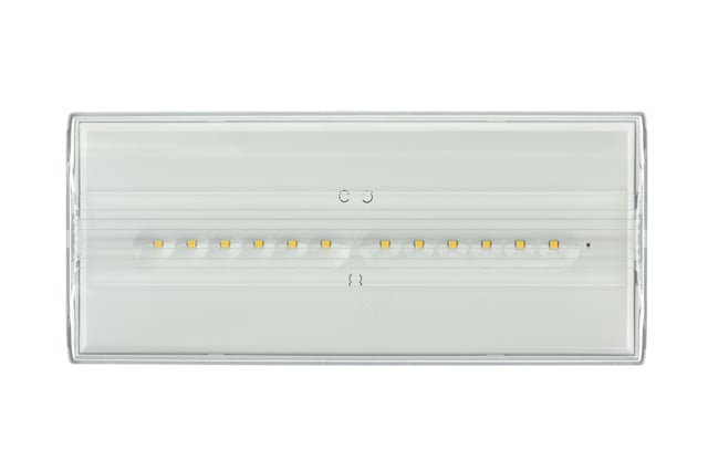 LUMINARIA DE EMERGENCIA LED PERMANENTE 225 LM IP44