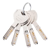 CILINDRO SEGURIDAD ANTIROTURA Y ANTIBUMPING 40 X 40 MM. NIQUEL T70 TESA - 2