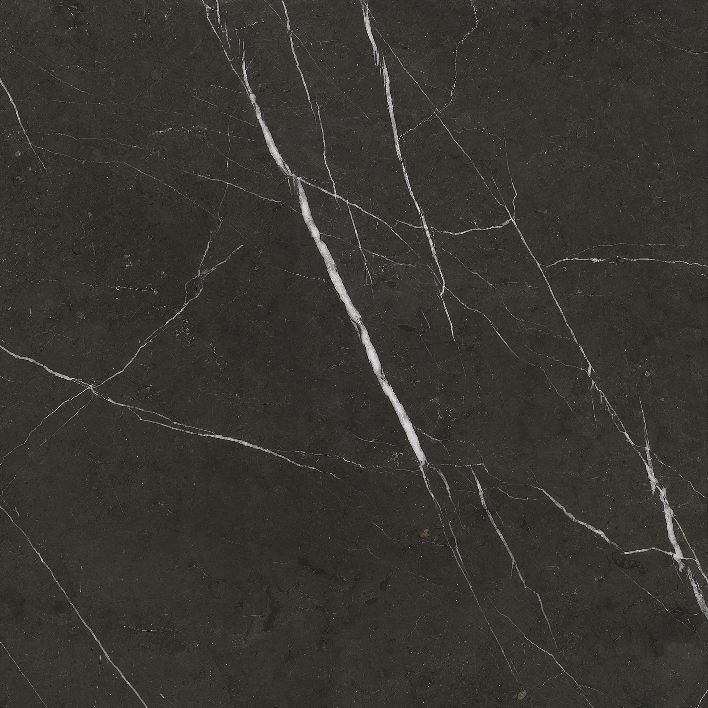 SUELO PORCELÁNICO 60X60 CM IMPALA BRILLO - 2