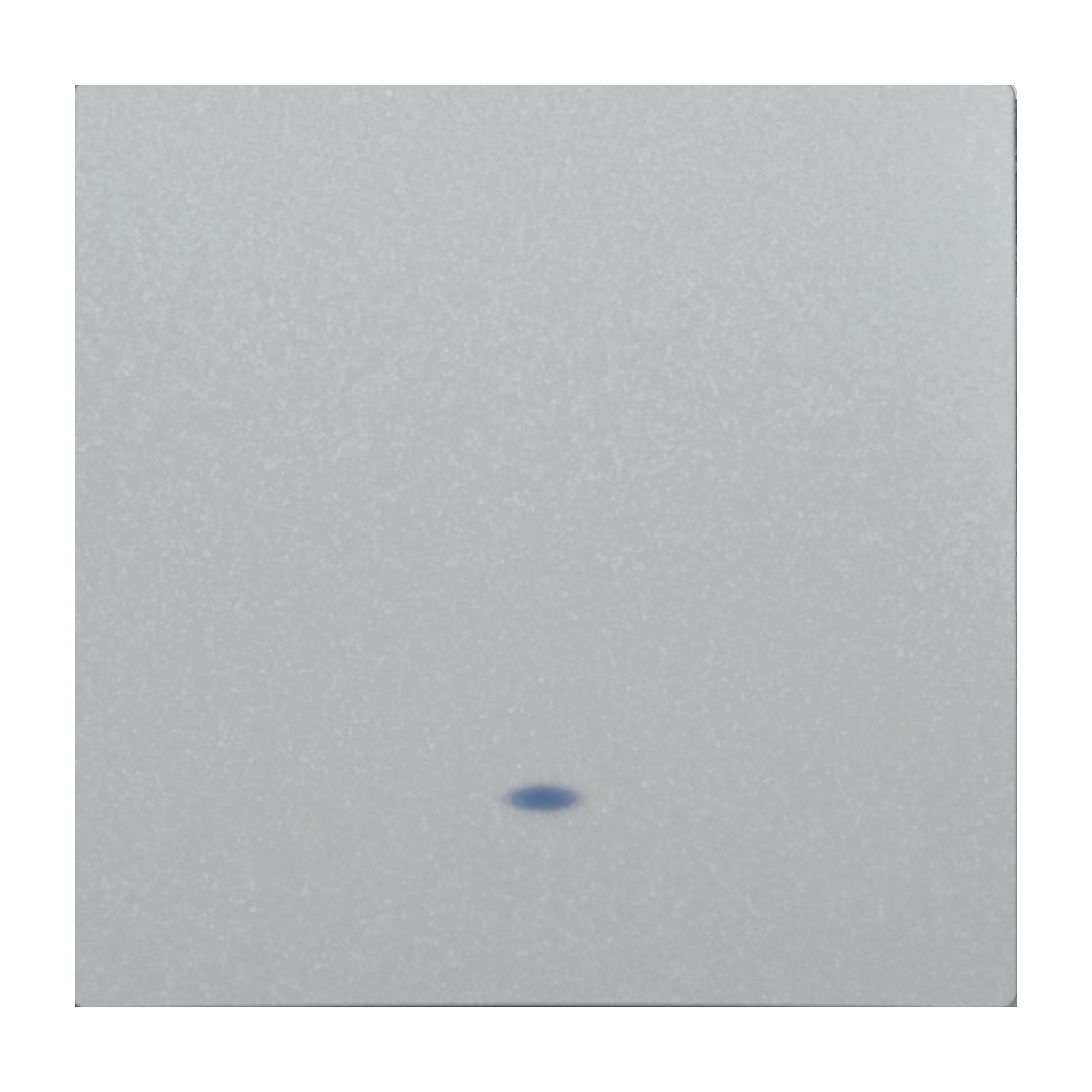 PULSADOR LUMINOSO SERIE VIVA PLATA - 2