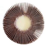 ABANICO LAMINADO Ø60 EJE 6 MM GRANO 120 - 2