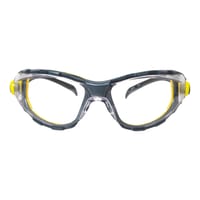 GAFAS PROTECCION PANORAMICA INCOLORA PATILLA DELTA PLUS PACAYA - 2