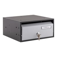 BUZON COMUNIDAD HORIZONTAL NORA 240 MM. PLATA ARREGUI - 2