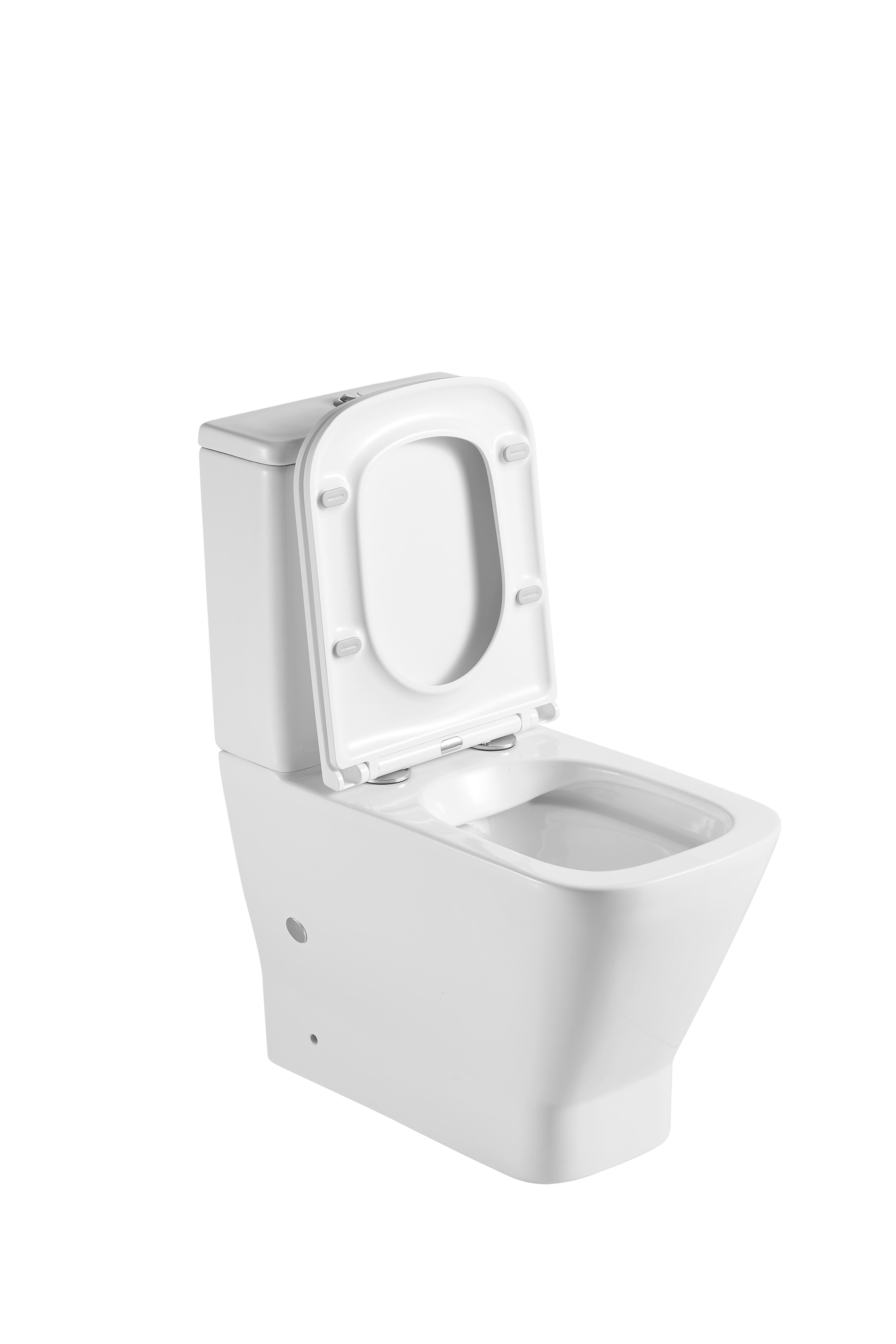 PACK SANITA SAÍDA DUAL BAIKAL BTW RIMLESS - 2