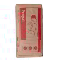 YESO DE PROYECCIÓN PLACO PROYAL SO 20 KG - 2