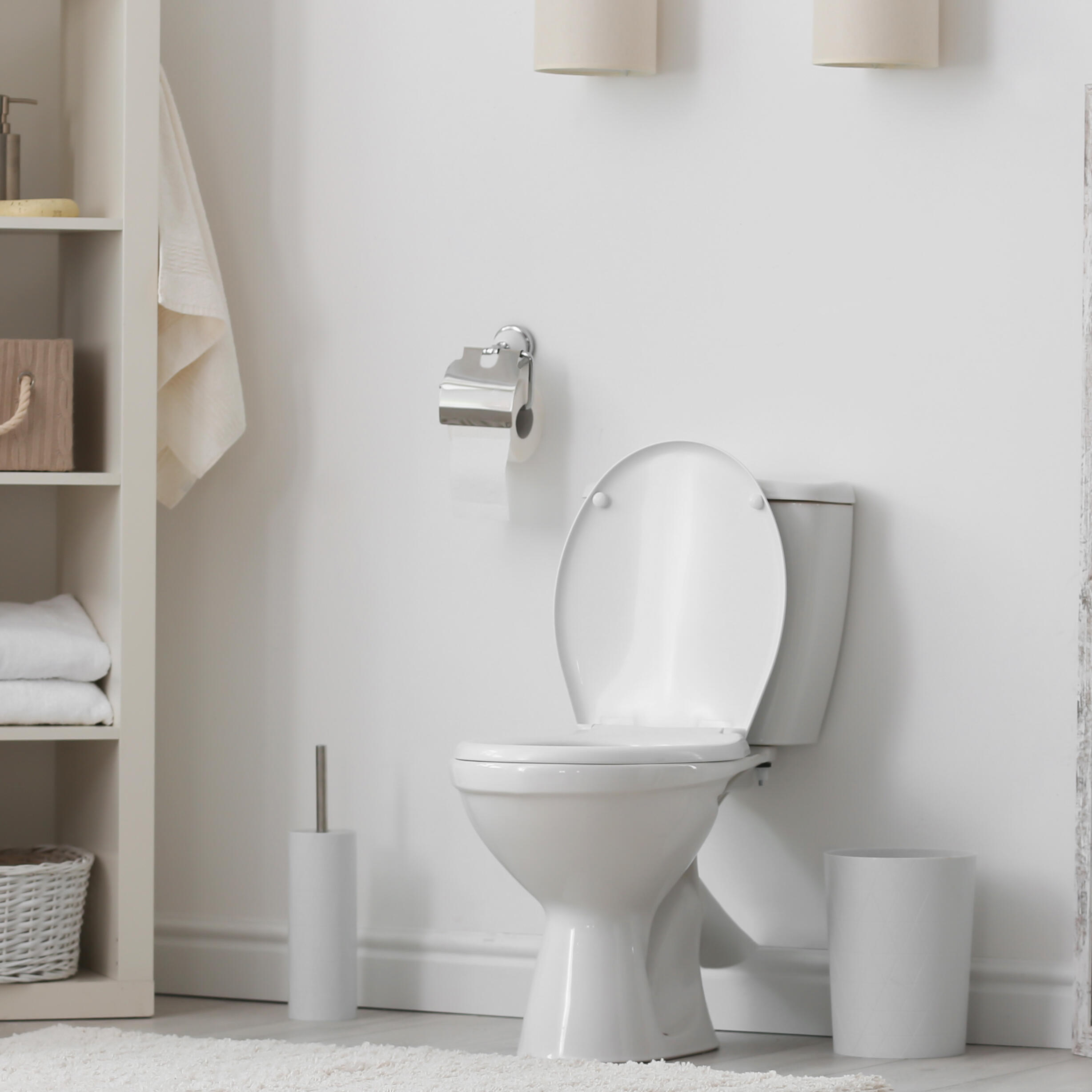 PORTARROLLOS INOX C/TAPA ARCHITECH - 2