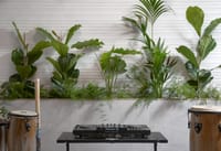 AZULEJO PASTA BLANCA 30X90CM PLACE CONCEPT PERLA - 4