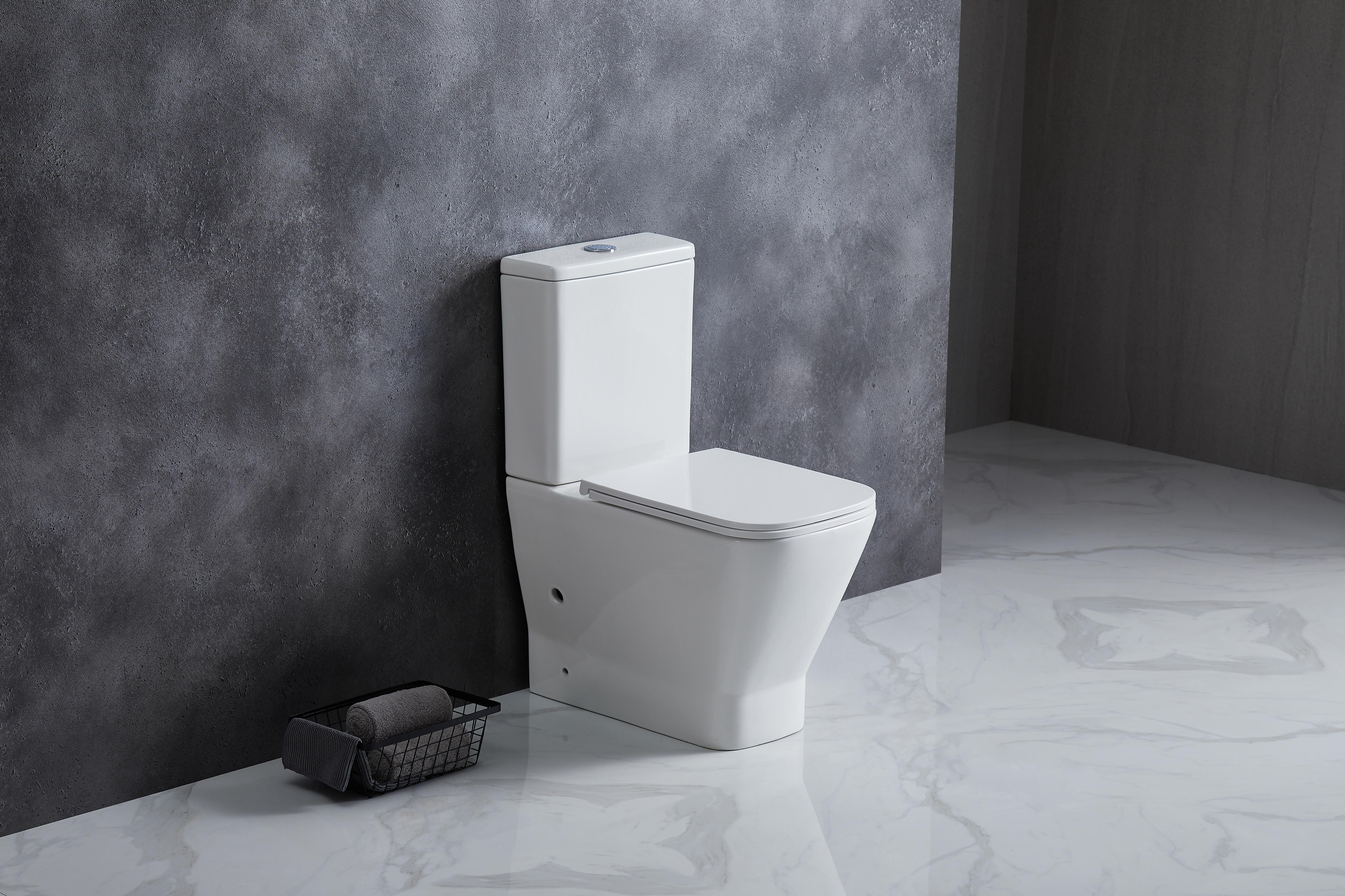 PACK SANITA SAÍDA DUAL BAIKAL BTW RIMLESS - 4