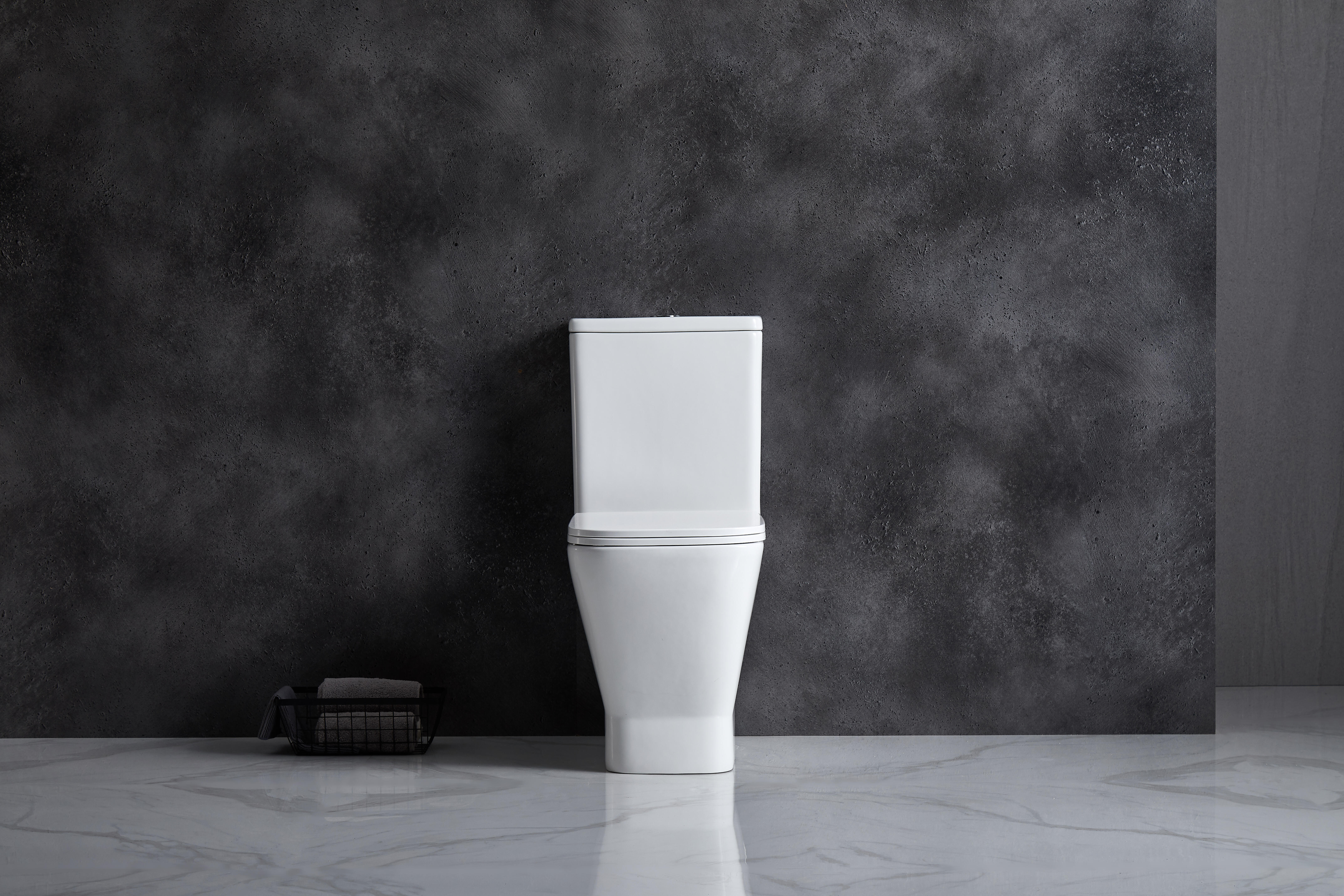 PACK SANITA SAÍDA DUAL BAIKAL BTW RIMLESS - 3