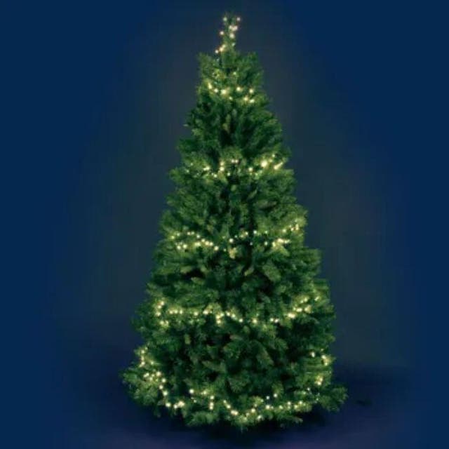 Catena luminosa con 2000 lampadine LED